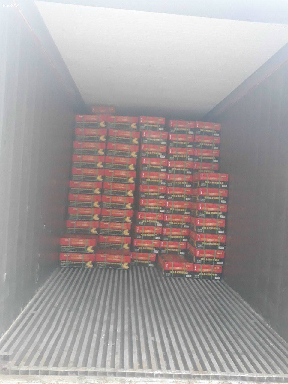 Container lạnh 67 khối giá tốt khu vực miền Nam