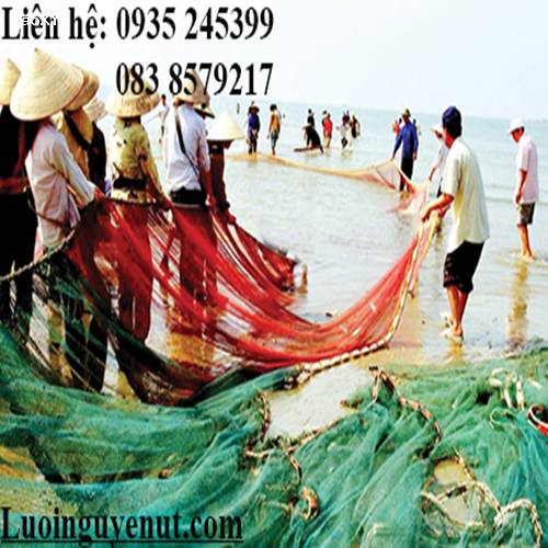 Lưới Kéo Cá Lòng Tong Nguyễn Út