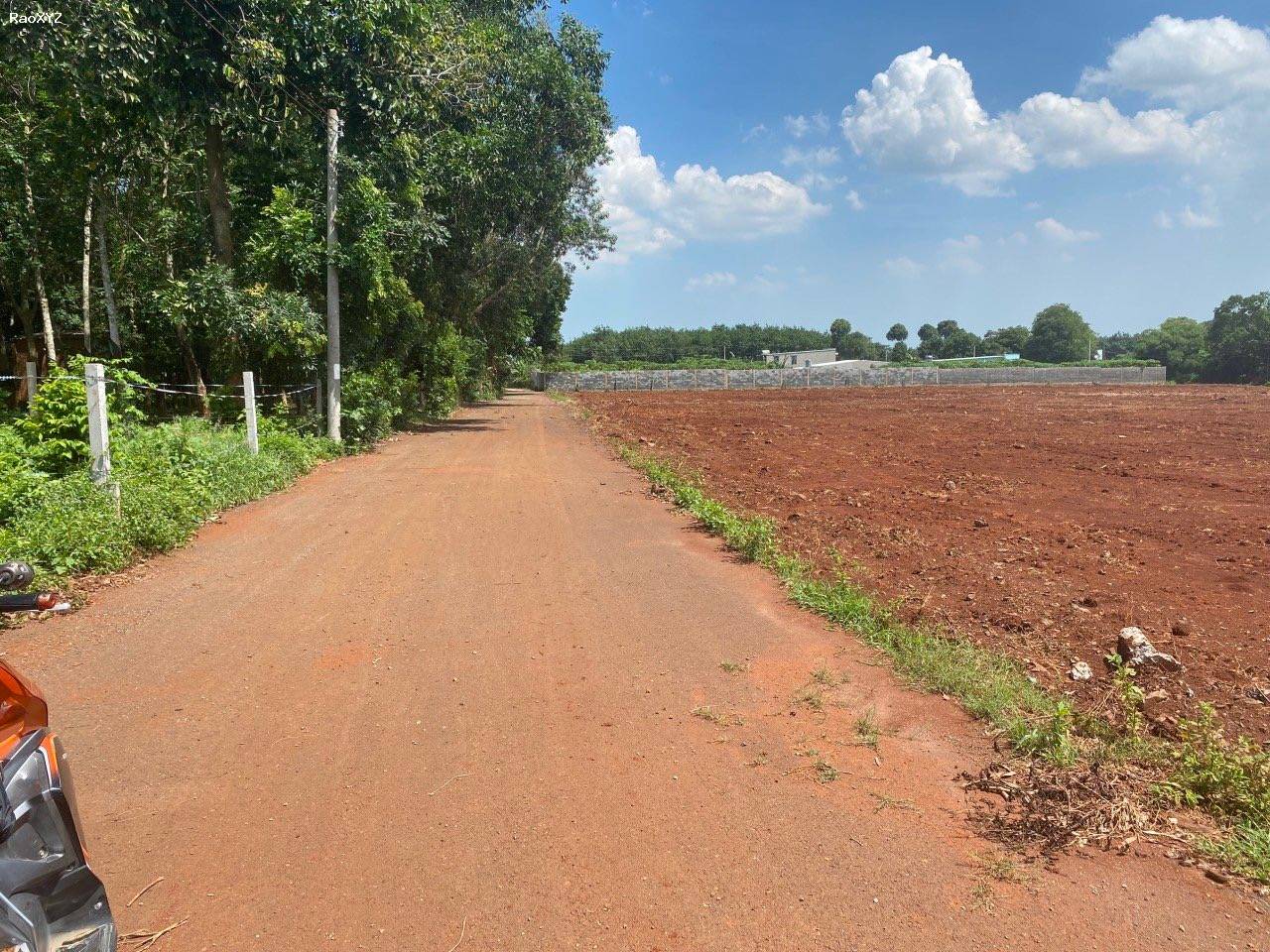 Hôm nay ai là người may mắn sở hữu lô đất 6,5 triệu/m2 tại Long Phước