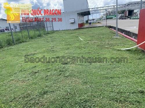 Dịch vụ cắt cỏ, phát hoang đât dự án KV HCM, Đồng Nai, Bình Dương