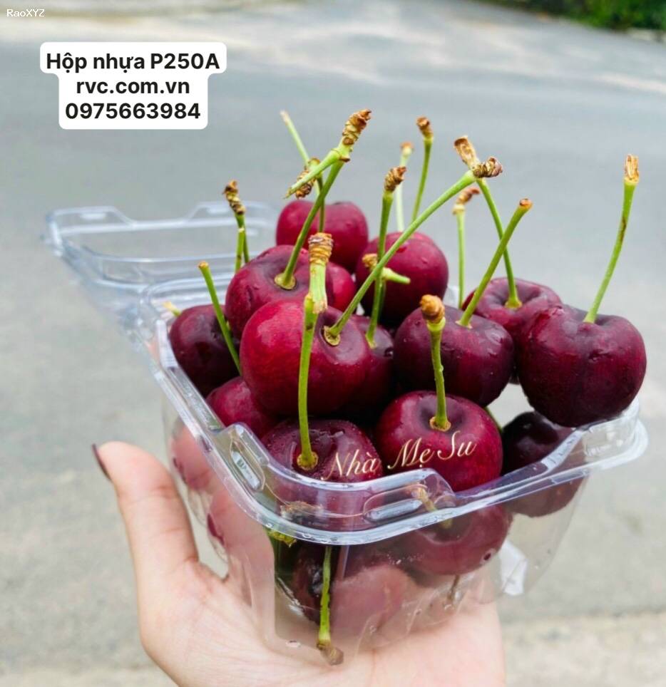 Địa chỉ uy tín cung cấp hộp nhựa trái cây P250A