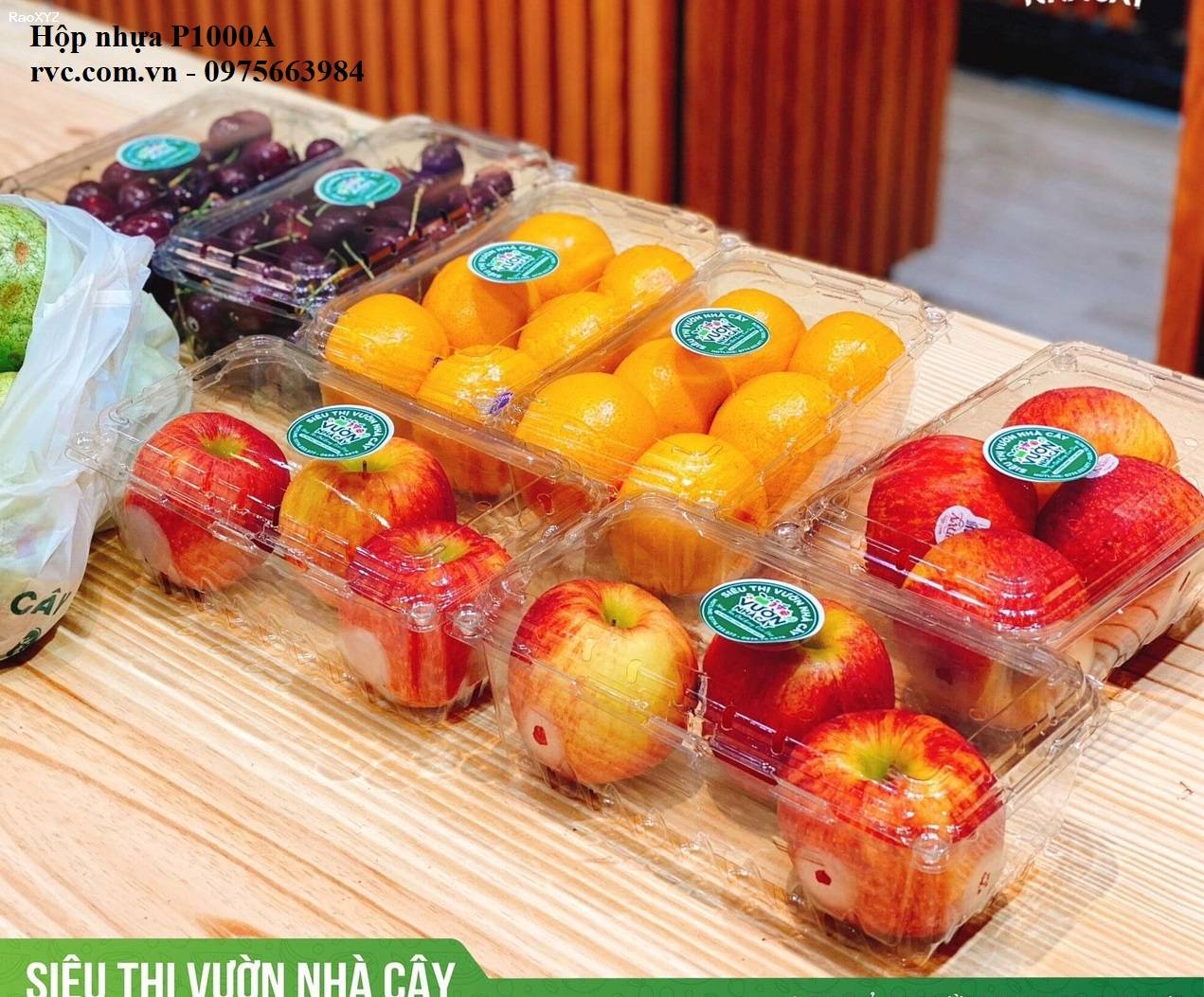 Hộp nhựa đựng trái cây P1000A đảm bảo chất lượng