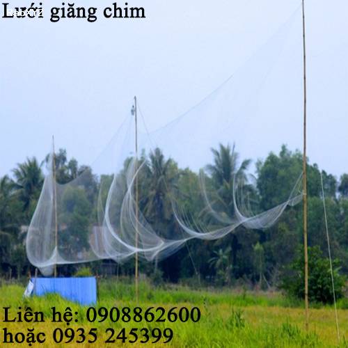 Lưới Tàng Hình Bẫy Chim Nguyễn Út