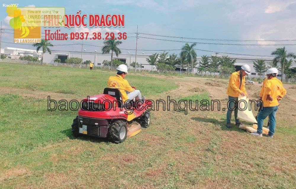 Dịch vụ cắt cỏ, phát hoang cỏ dự án Đồng Nai Tphcm