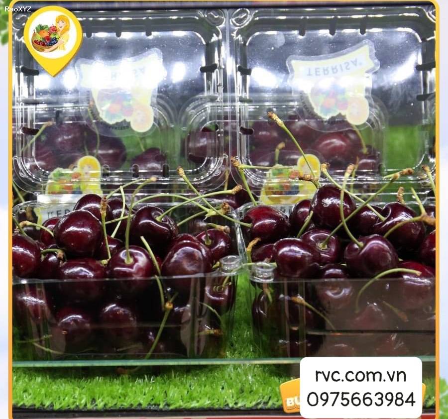 Tuyệt chiêu bảo quản trái cây 500g trái cây hiệu quả bằng hộp đựng hoa quả