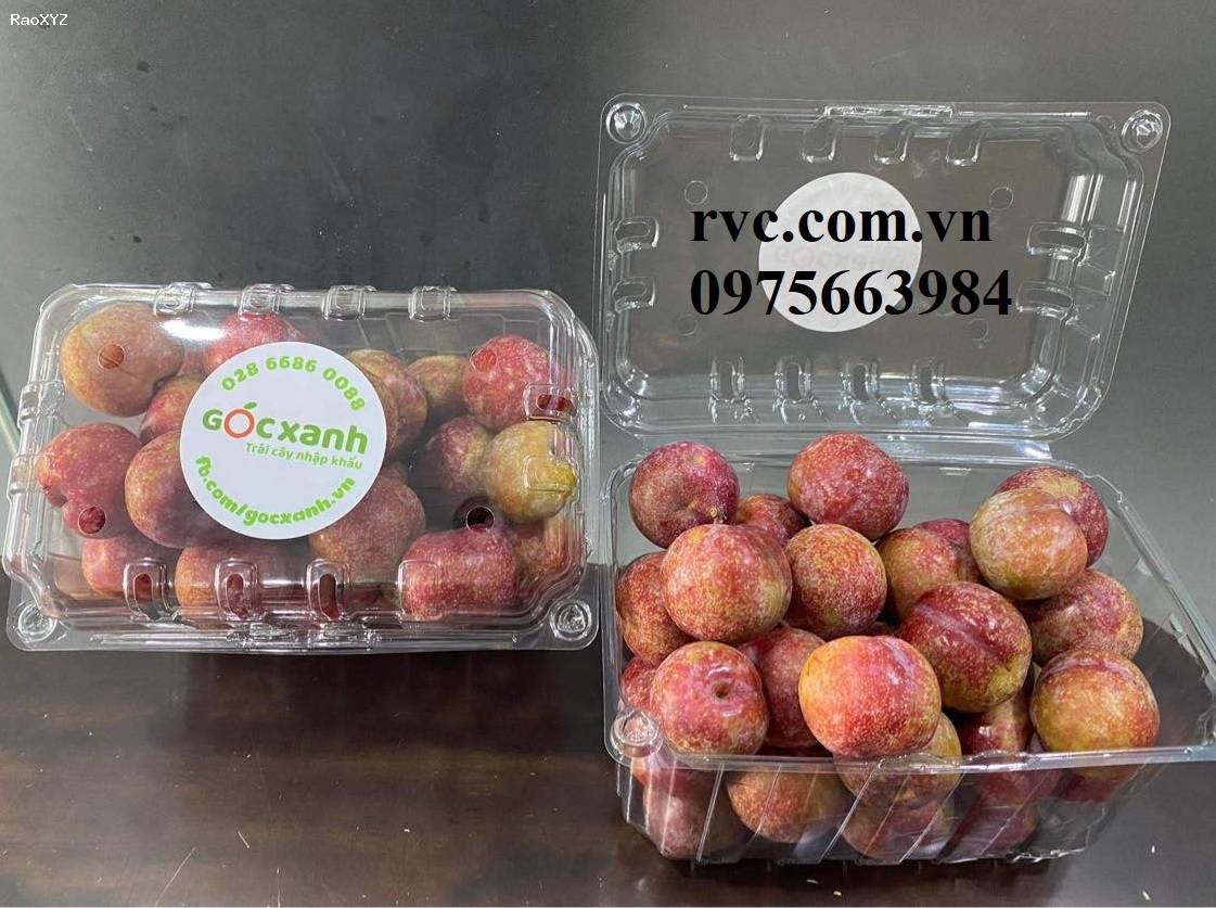 Hộp nhựa P1000B - Giải pháp toàn diện bảo quản trái cây