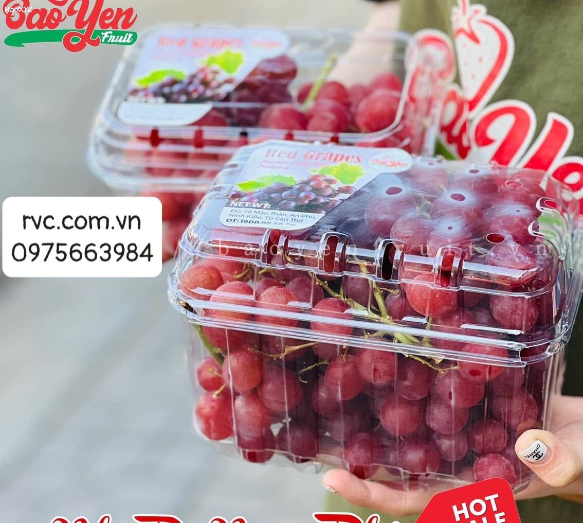 Nhà cung cấp hộp nhựa trái cây đảm bảo chất lượng