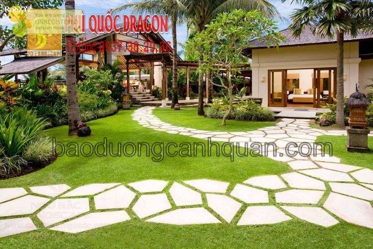 Cung cấp cỏ nhung nhật giá tốt chất lượng ở Đồng Nai, Hcm