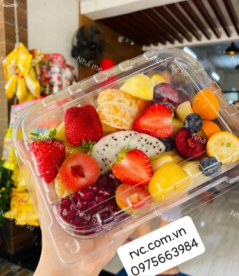 Gợi ý những mẫu hộp nhựa trái cây dùng 1 lần cao cấp, chất lượng tại Sài Gòn