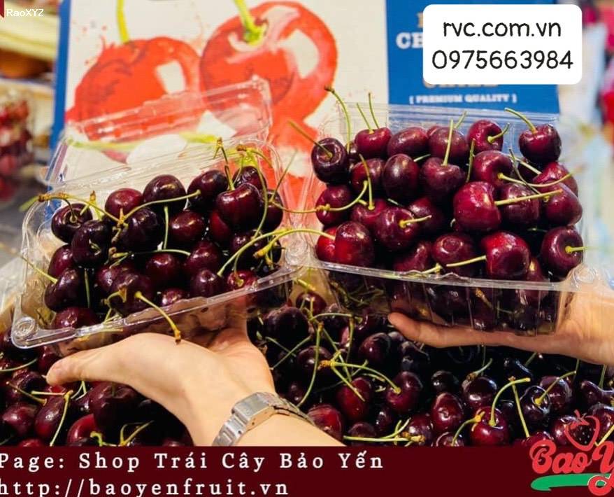Hộp nhựa trái cây - Giải pháp bảo quản cherry hiệu quả