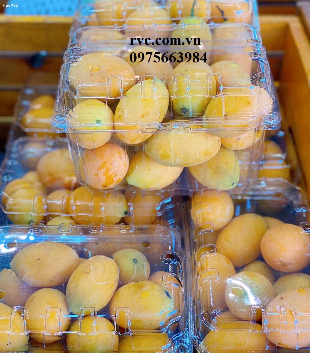 Hộp nhựa trái cây 1kg P1000B đạt chuẩn an toàn thực phẩm