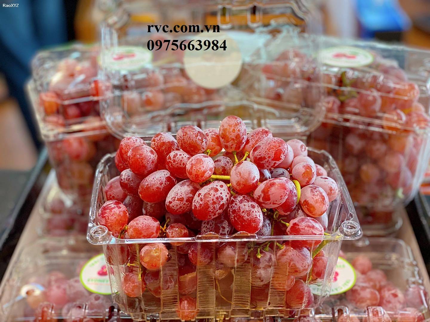 Hộp nhựa trái cây 1kg P1000B đạt chuẩn an toàn thực phẩm