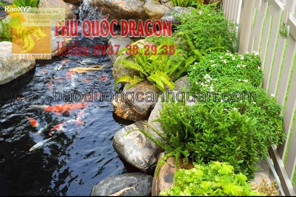 Thiết kế bể cá Koi phong thủy sân vườn ở Đồng Nai, Hcm..