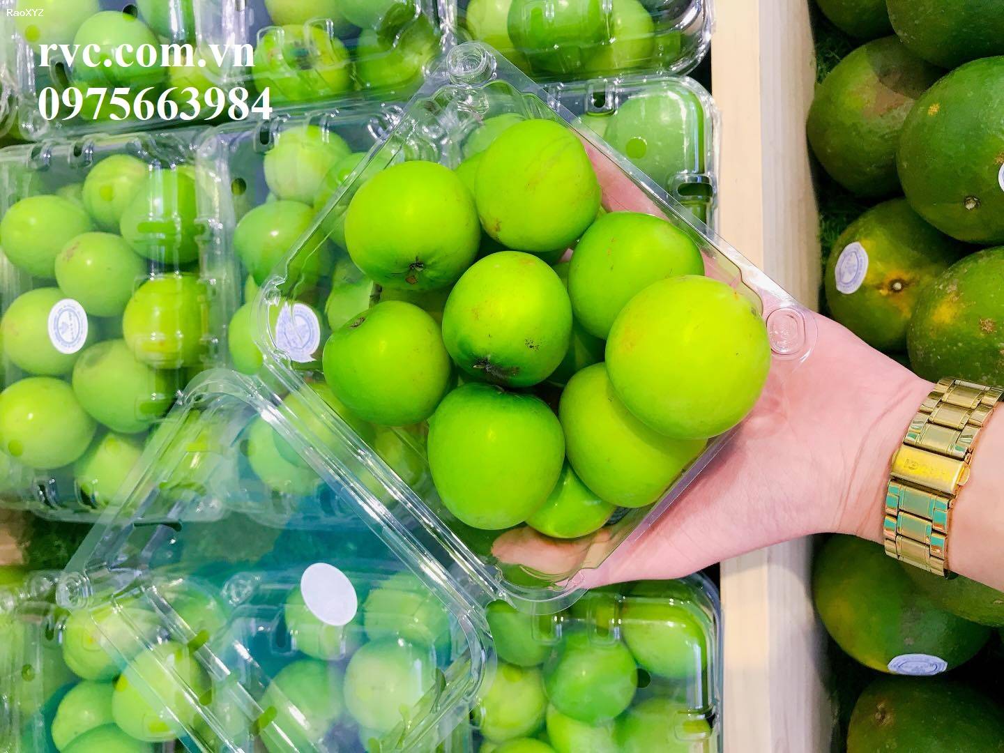 Tuyệt chiêu bảo quản 500g trái cây hiệu quả bằng hộp nhựa P500D