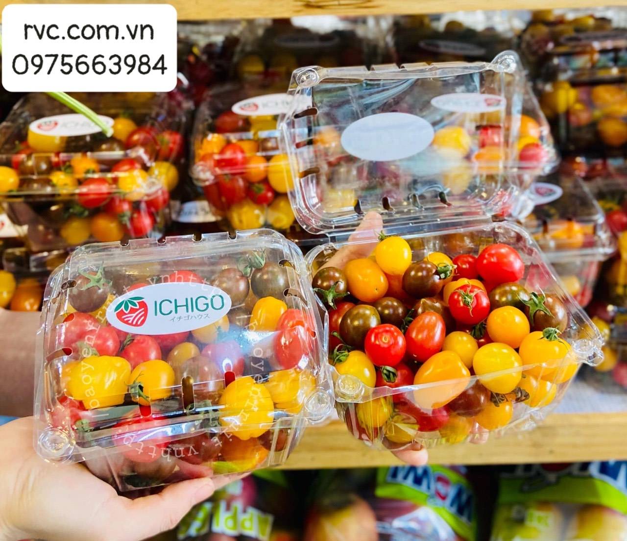 Tuyệt chiêu bảo quản 500g trái cây hiệu quả bằng hộp nhựa P500D