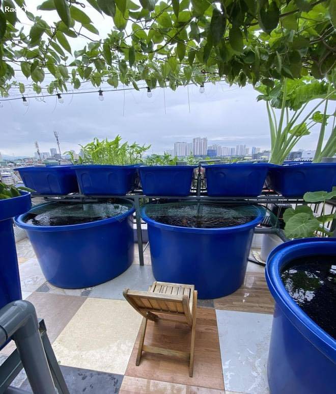 Thùng nhựa tròn nuôi cá, trồng rau, trồng cây bền giá rẻ - 096 3839 597 Ms Kính
