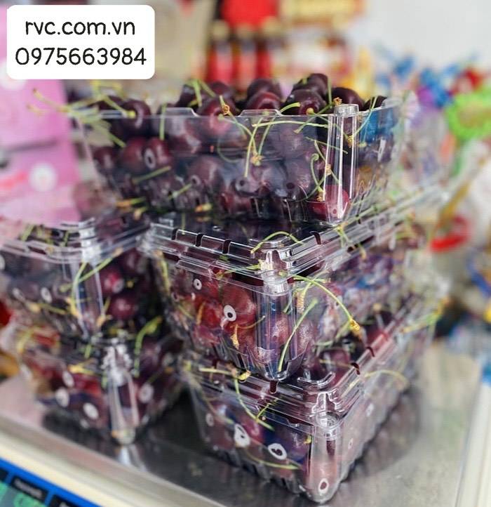 Mách bạn những mẫu hộp nhựa đựng cherry đạt chuẩn an toàn thực phẩm
