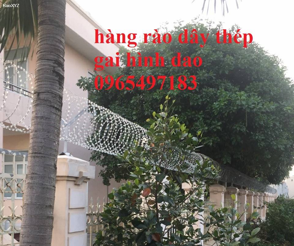 Nhân thi công lắp đặt hàng rào dây thép gai hình dao chống trộm, bảo vệ an ninh