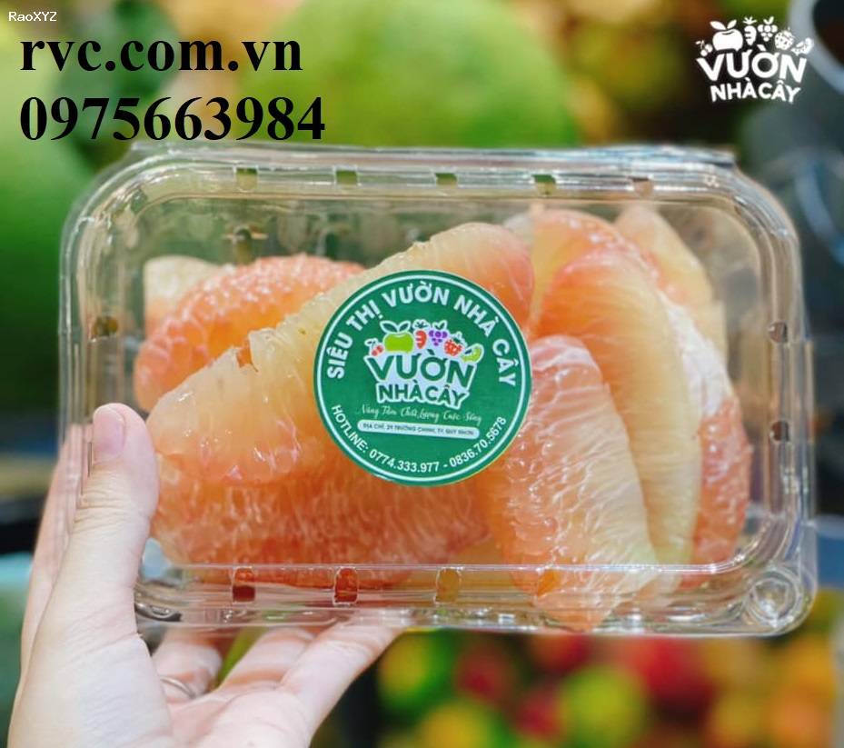 Chia sẽ mẫu hộp nhựa trái cây 500g chính hãng, giá rẻ tại Sài Gòn