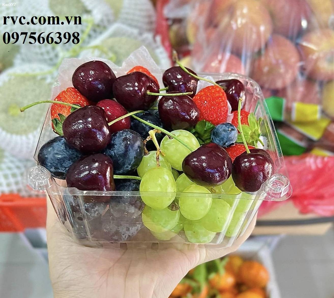 Chia sẽ mẫu hộp nhựa trái cây 500g chính hãng, giá rẻ tại Sài Gòn