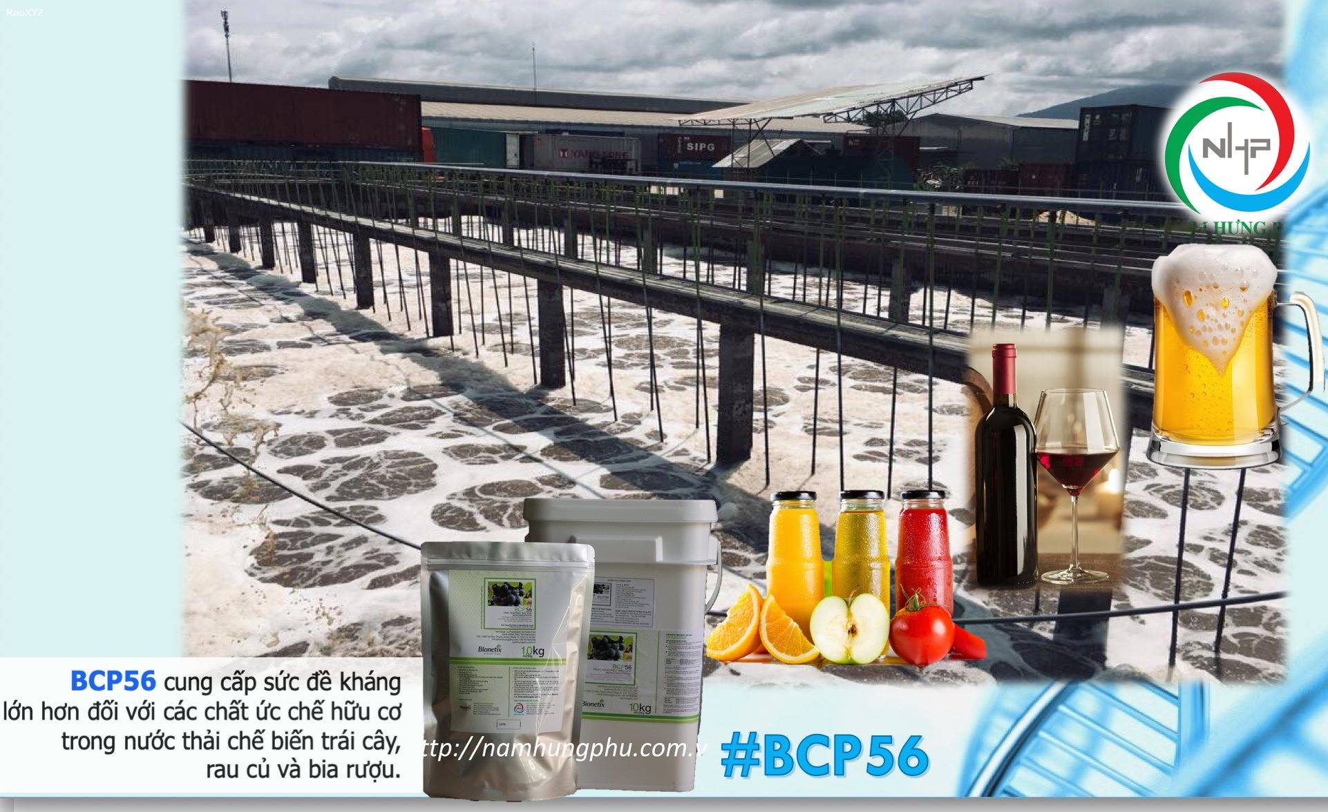 men vi sinh BCP56 xử lý nước thải trái cây, rau củ quả