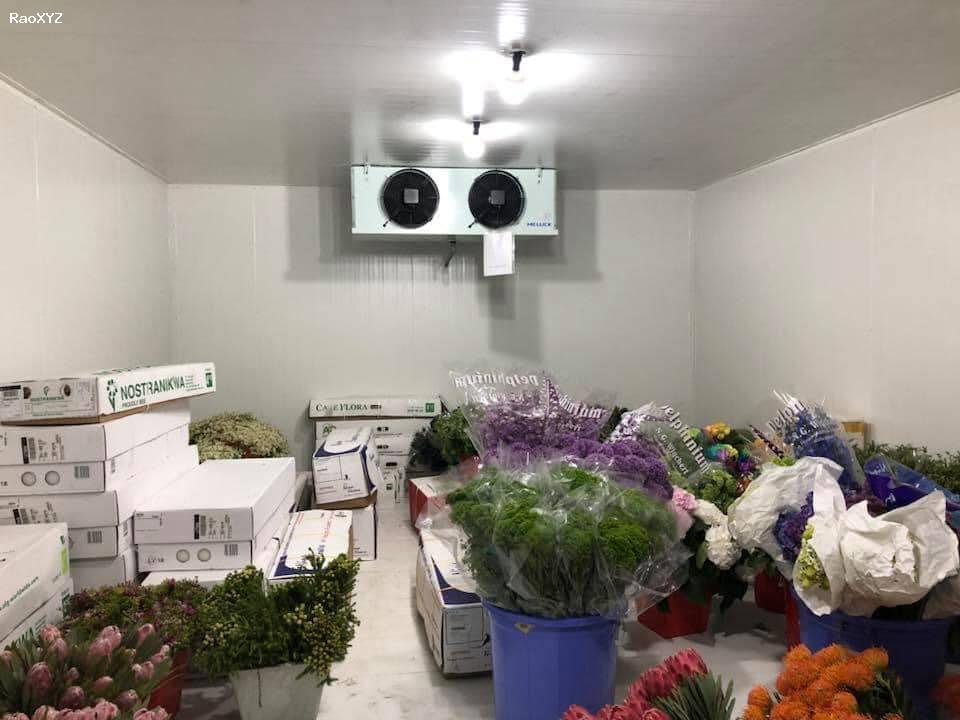 Lắp đặt thi công  kho lạnh trữ hoa tươi giá tốt