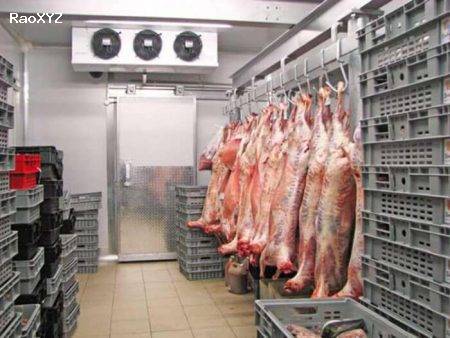 Lắp đặt kho lạnh bảo quản thịt heo cung cấp siêu thị