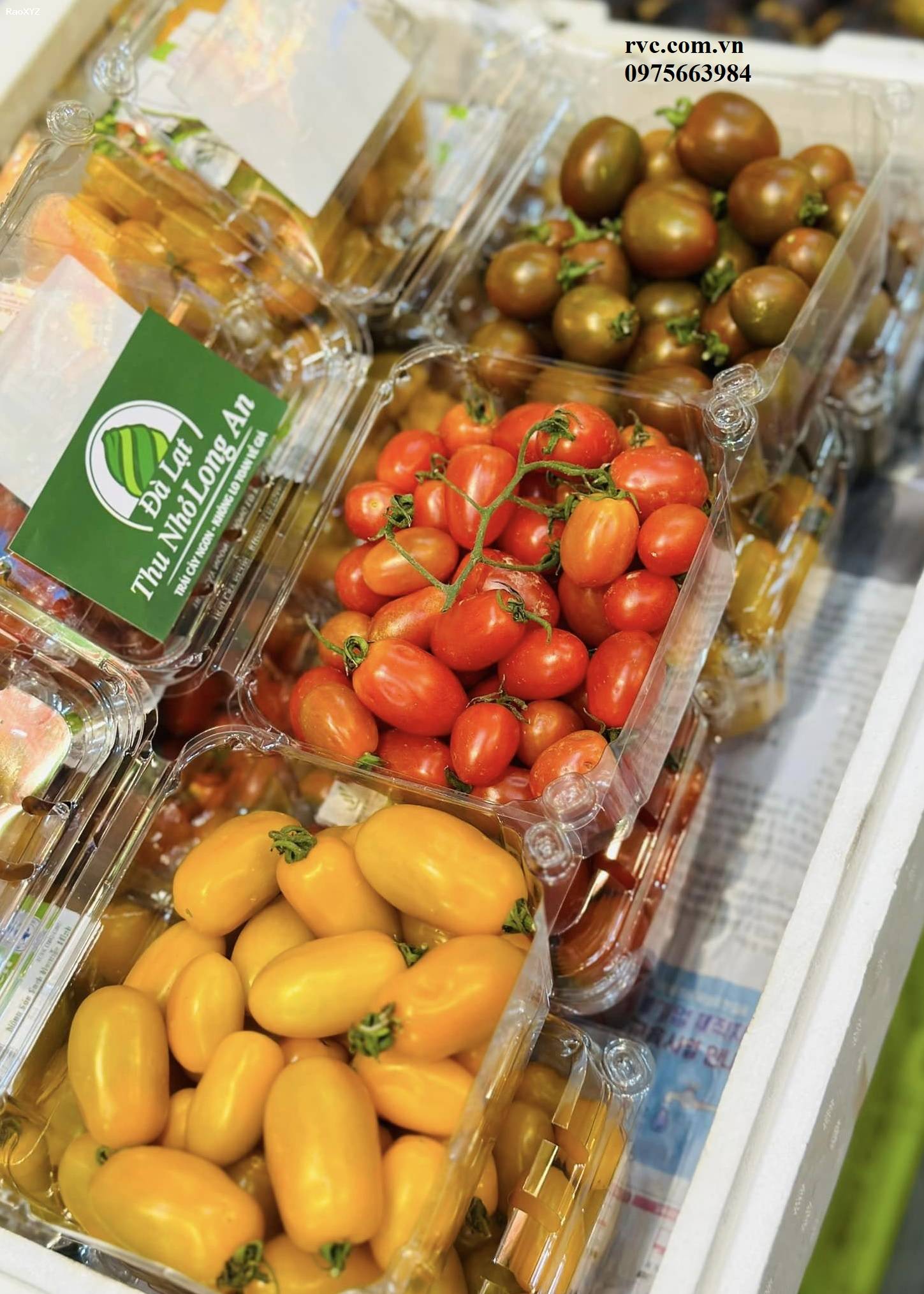 Điểm phân phối hộp nhựa trái cây 500g chất lượng tại Đà Lạt.