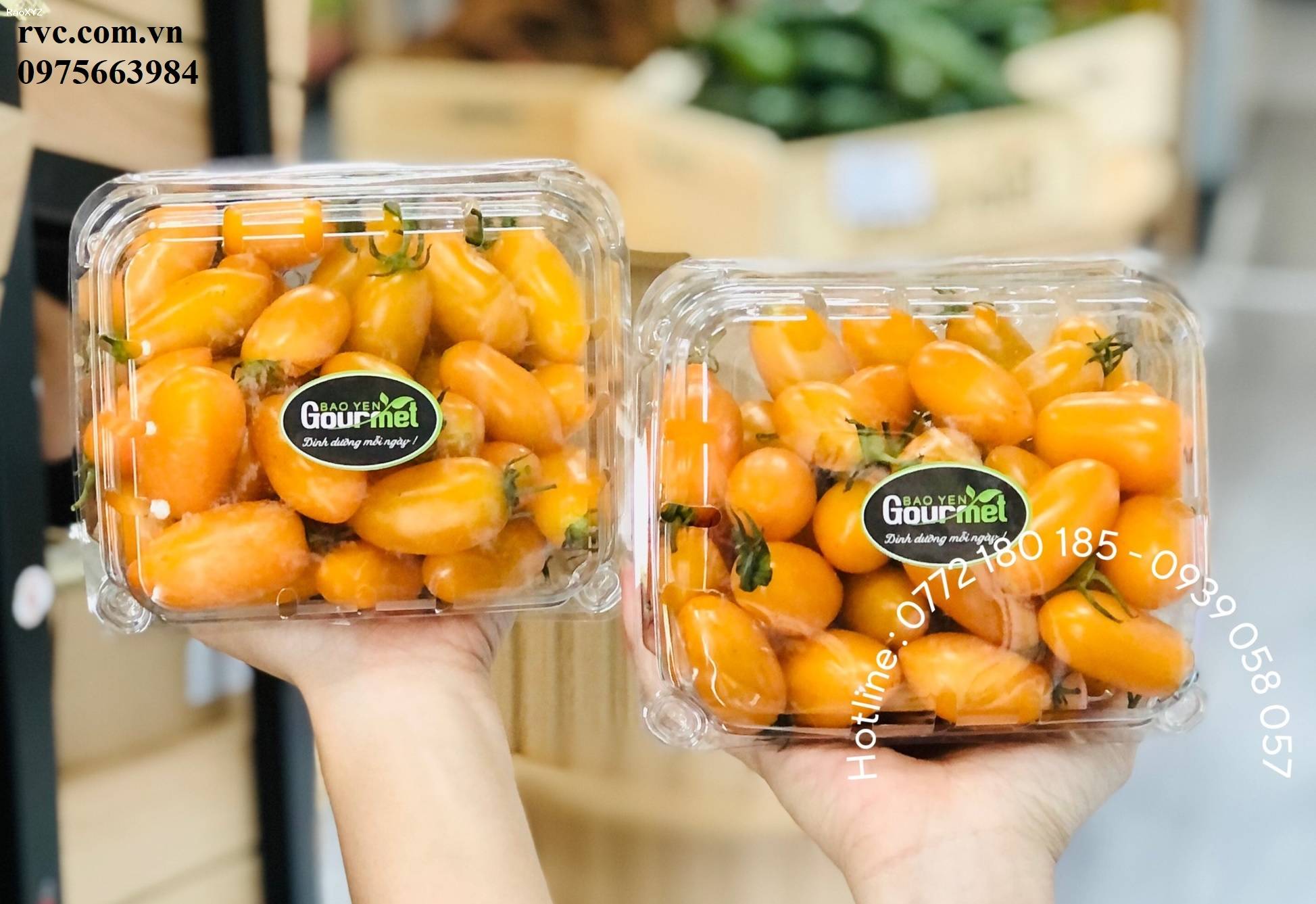 Điểm phân phối hộp nhựa trái cây 500g chất lượng tại Đà Lạt.