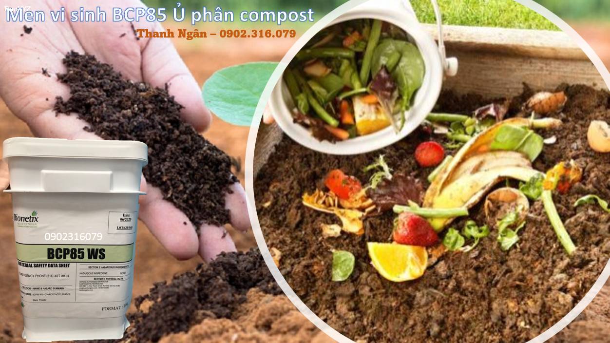 vi sinh BCP85 ủ phân Compost