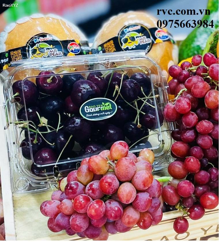 Công ty chuyên phân phối hộp đựng hoa quả 500g P500C cho siêu thị, cửa hàng trái cây.