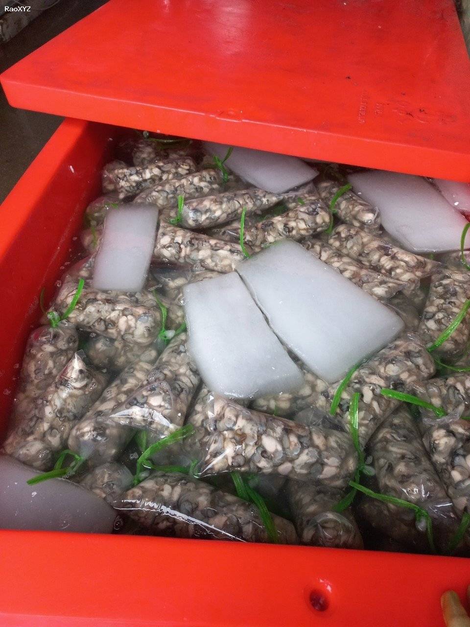 thùng đá 800lit thailand ướp hải sản tươi sống