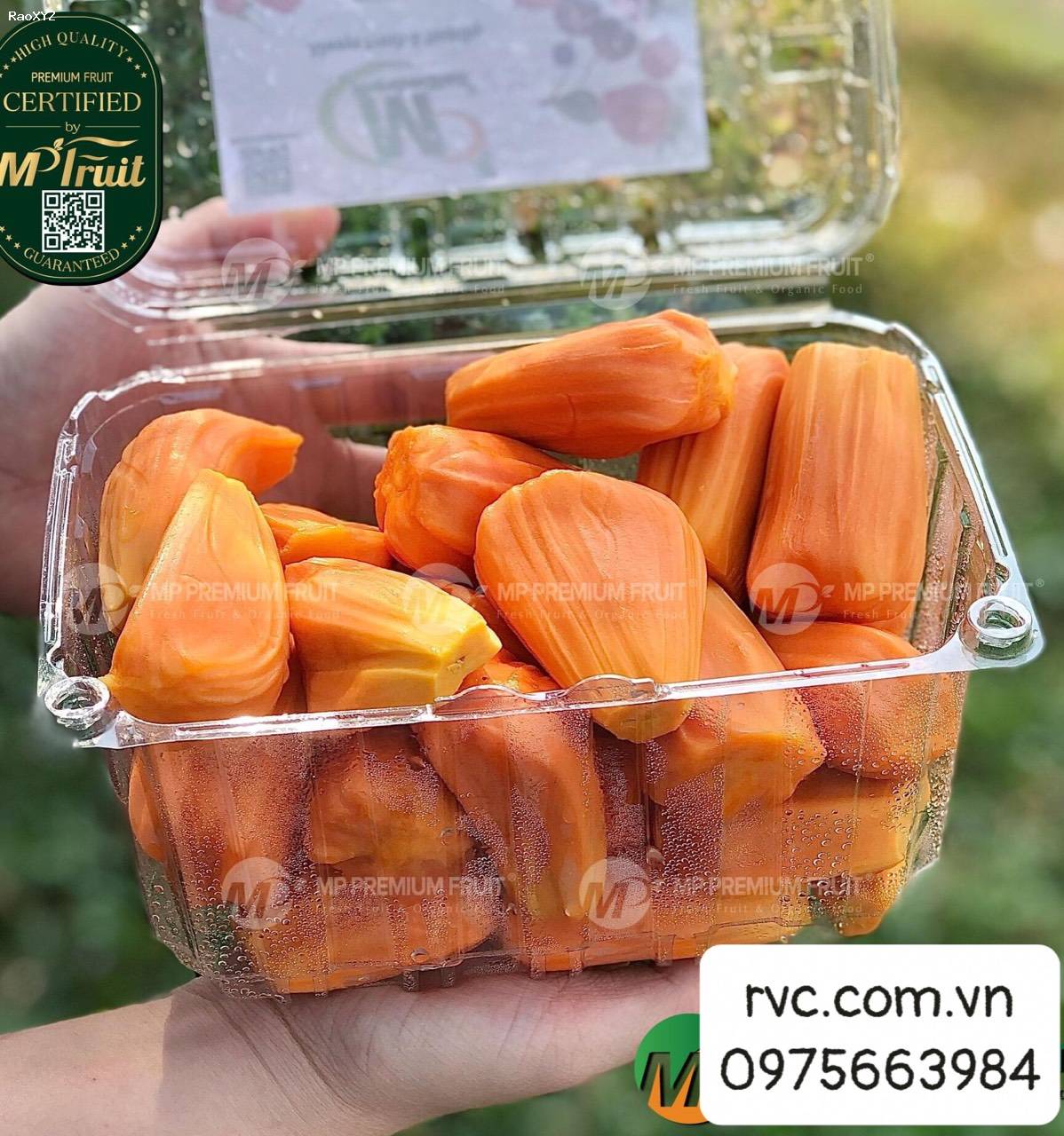 Chuyên sỉ hộp nhựa đựng trái cây 1kg P1000B tại Đồng Nai.