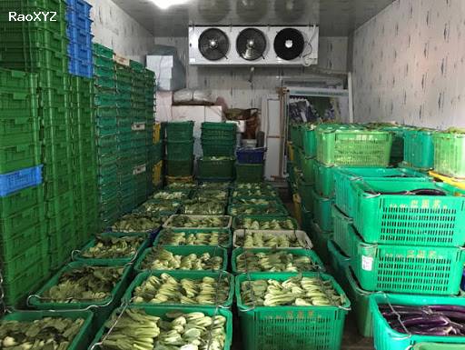 ((0947.459.479)) Cung cấp kho lạnh tại Đồng Nai, Kho lạnh trữ nông sản rau củ quả