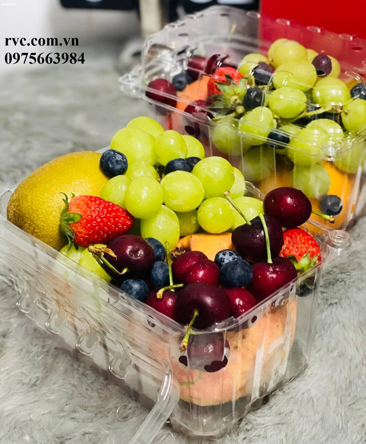 Câp nhật mẫu hộp nhựa trái cây 1kg P1000B giá tốt bạn nên biết