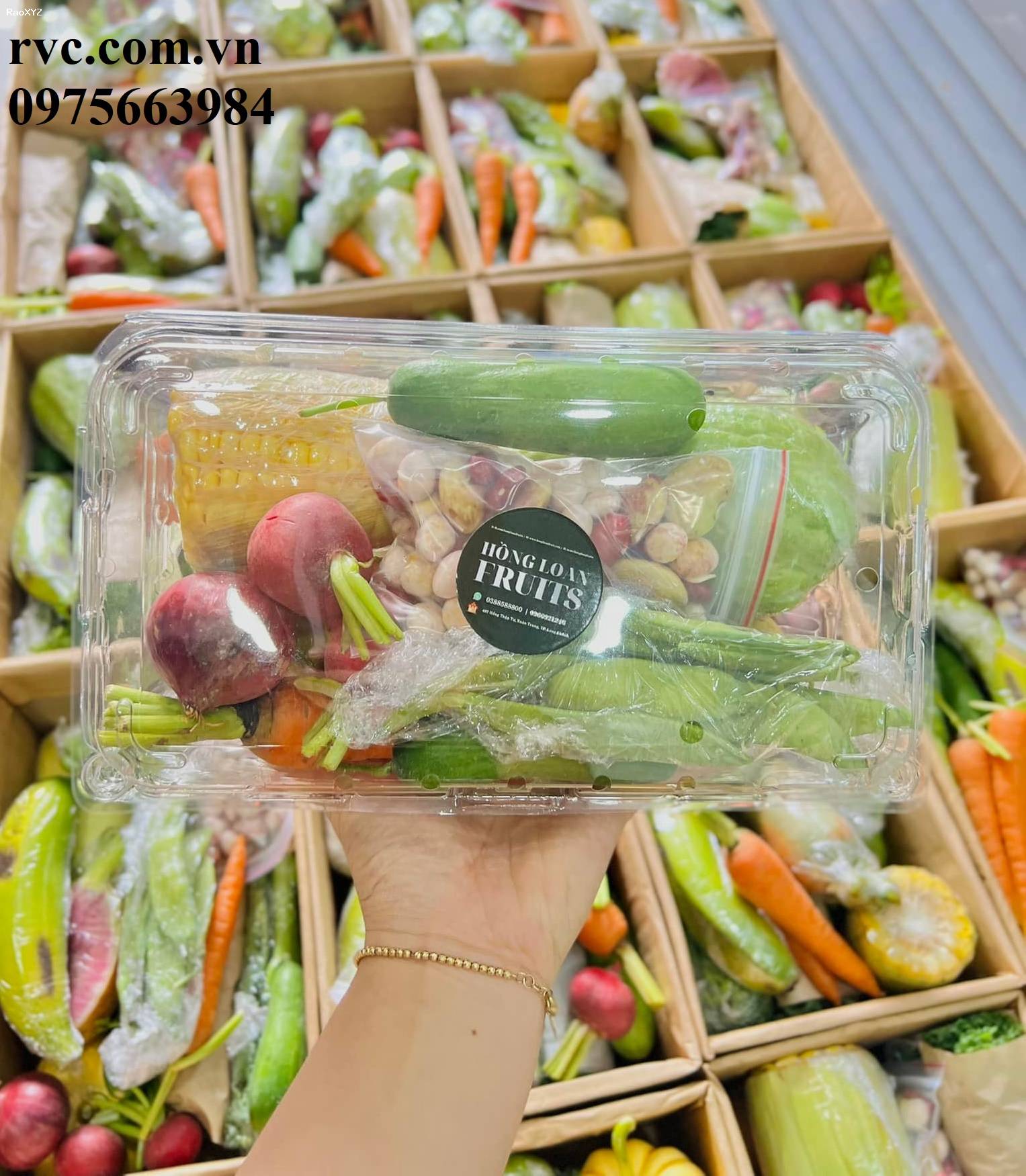 Mẫu hộp nhựa đựng trái cây 1kg được ưa chuộng nhất hiện nay.