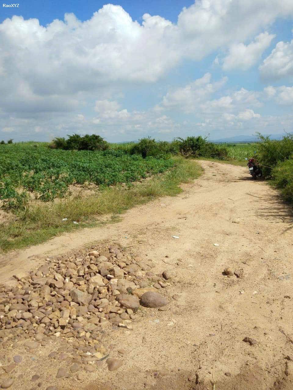Cần bán gấp lô  đất có diện tích 2,1 mẫu tại huyện La Pa tỉnh Gia Lai