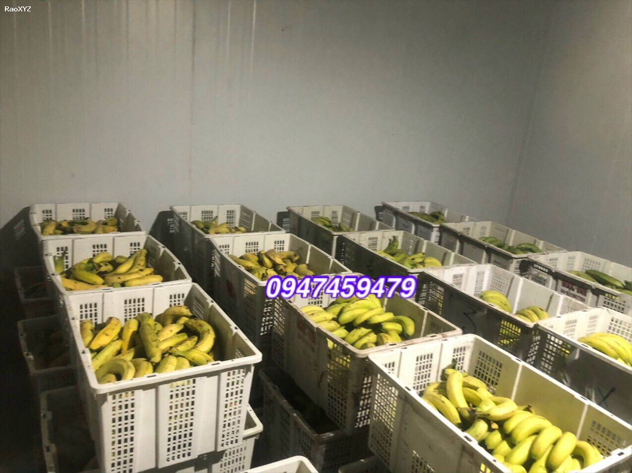 Cung cấp kho mát trữ trái cây, củ quả tại quận 12 ((0947.459.479)), Kho lạnh, kho mát