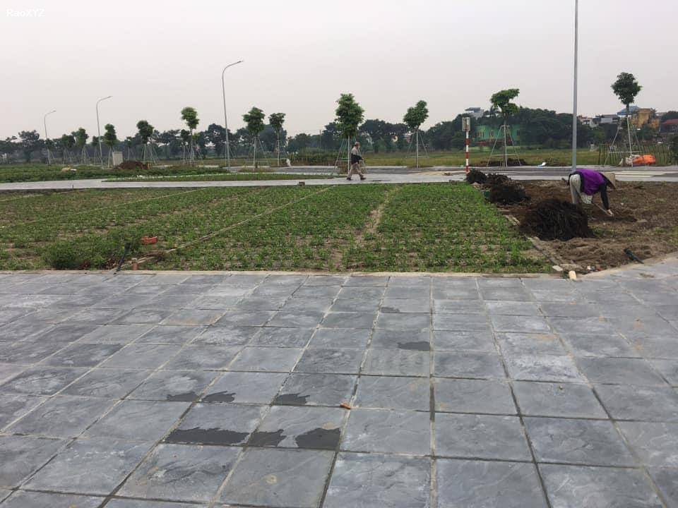 Bán đất đấu giá khu X2 Thái Bình, xã Mai Lâm. DT 1 lô 80m2, mặt tiền 5m, giá đầu tư