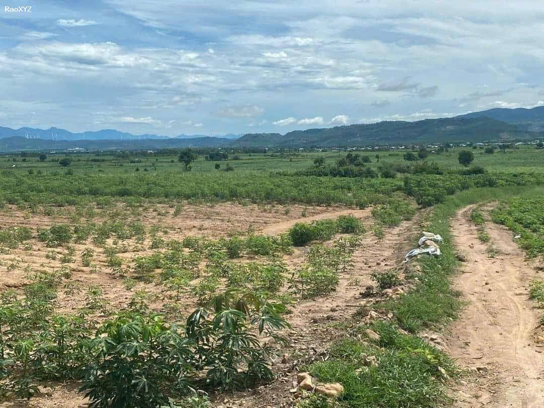 Cần bán gấp lô  đất có diện tích 1,9 mẫu tại huyện La Pa, tỉnh Gia Lai