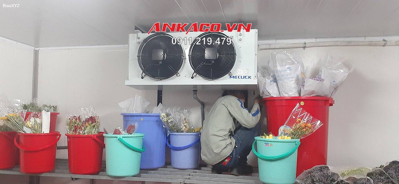 0947 459 479 lắp đặt kho lạnh trữ quả hoa tươi Bình Thuận, Thiết kế kho lạnh trữ thủy sản