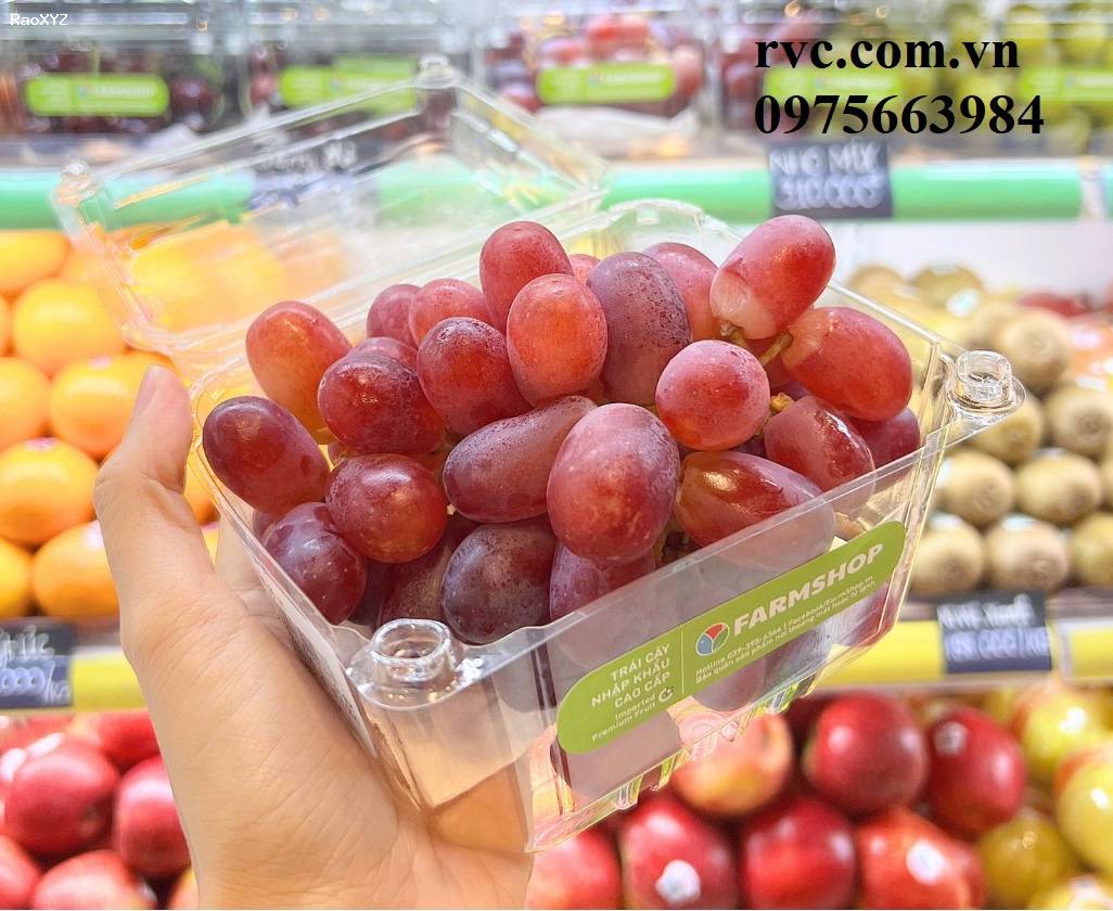 Hộp nhựa trái cây 500g P500D đạt chuẩn an toàn thực phẩm