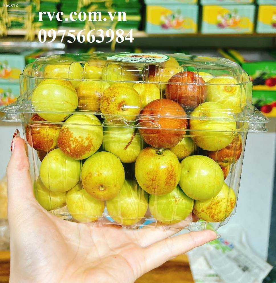 Mẫu hộp nhựa trái cây 1kg được ưa chuộng nhất 2024