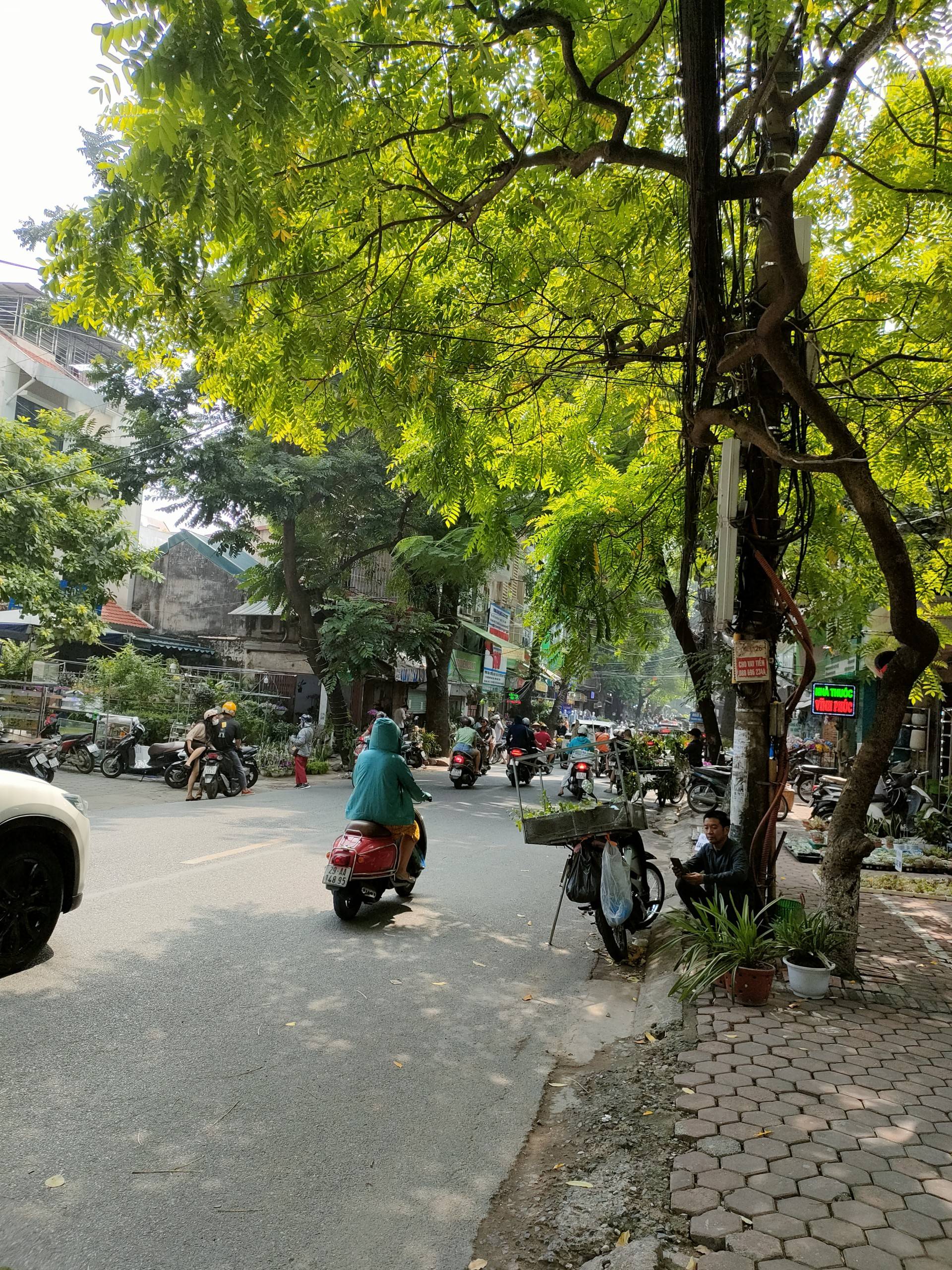 Cho thuê gấp nhà đẹp vị trí đẹp mặt phố Nguyễn Huy Tự 50m, 2 tầng, mặt tiền 5m, 44 tr/th Hai Bà Trưng.