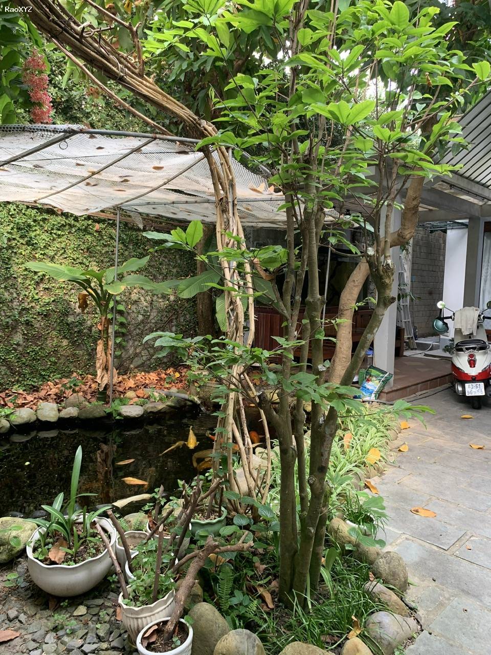 # Nhà MT Hoà Xuân gần Cầu Nguyễn Tri Phương, 200m2, 3 tầng, kiến trúc sân vườn