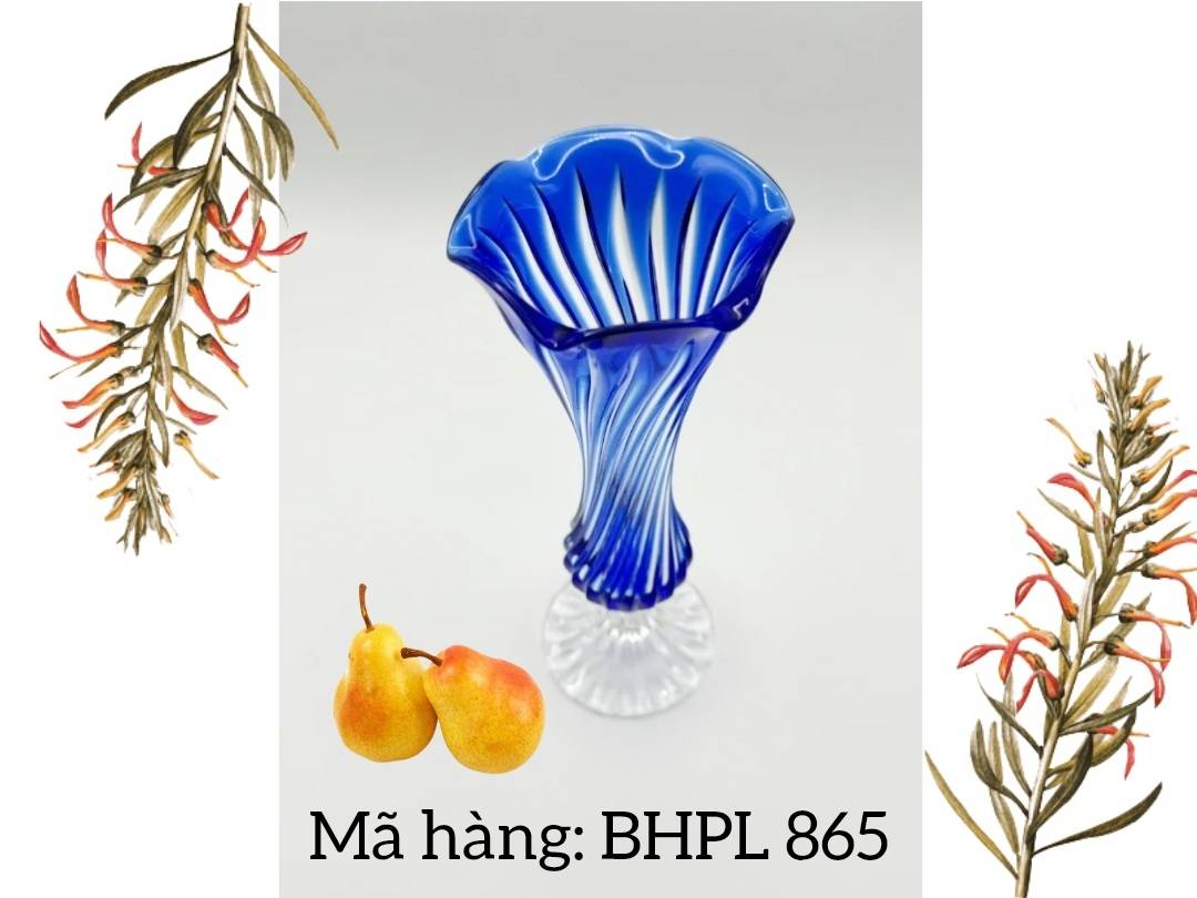 Mã hàng: BHPL 865 Tỉnh hoa nghệ thuật Pháp