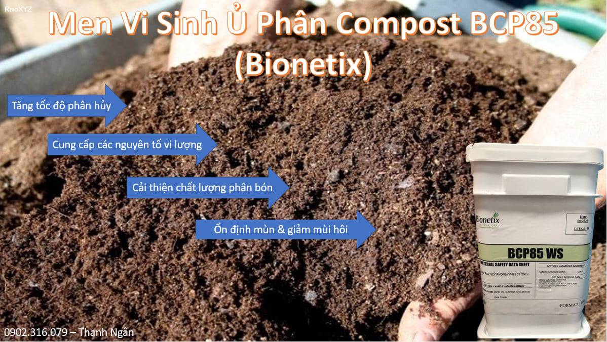 men vi sinh BCP85 thúc đẩy nhanh quá trình ủ phân compost