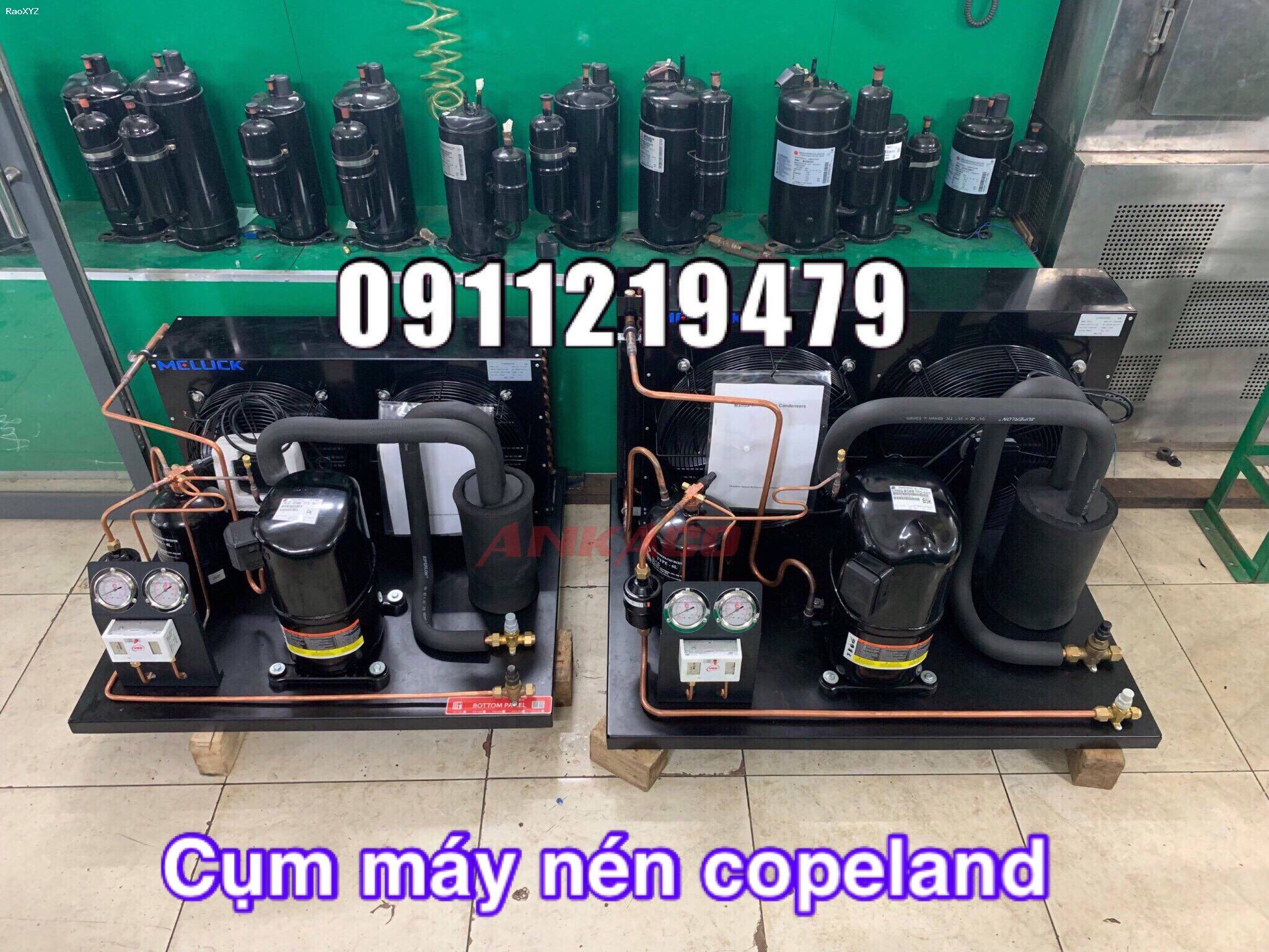 lắp đặt cụm máy nén kho lạnh Copeland Piston 3 hp  CRNQ-0300-PFJ/TFD Bình Tân