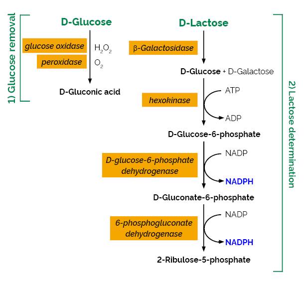Bộ phân tích Lactose (K-LOLAC)