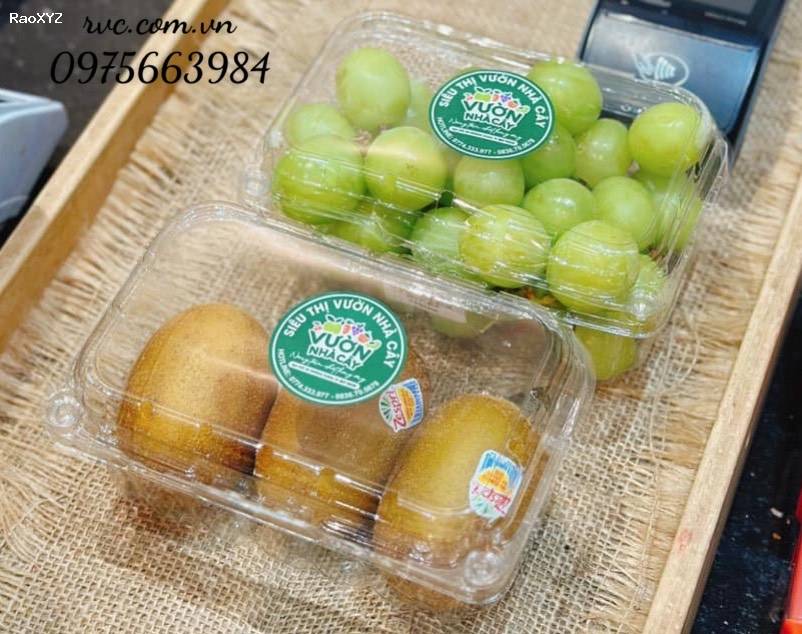 Tuyệt chiêu bảo quản 500g trái cây hiệu quả bằng hộp nhựa P500B